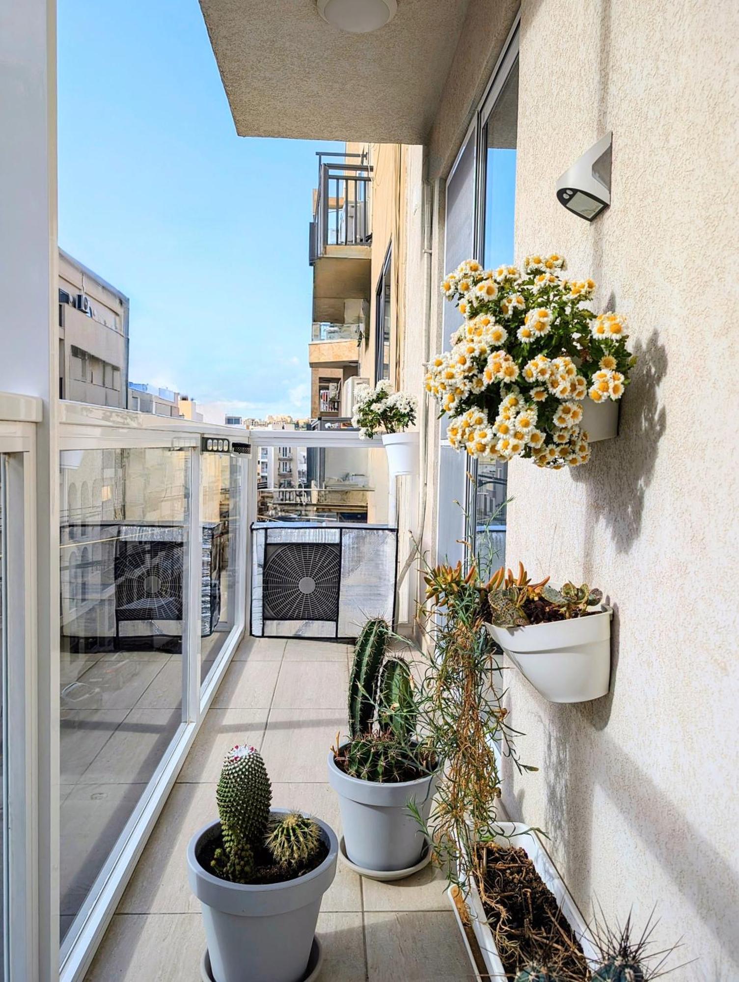 Central- Private En-Suite With Balcony In Shared Residence Pietà 外观 照片